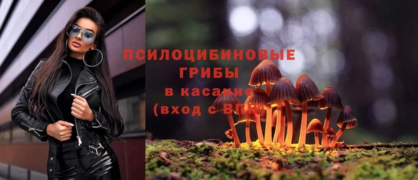 jwh Аркадак
