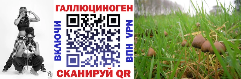 наркота  Салаир  Галлюциногенные грибы прущие грибы 